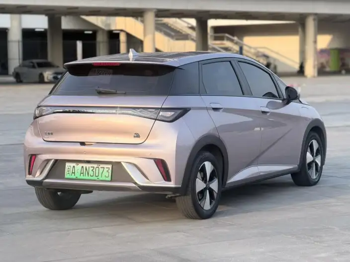 BYD Dolphin 2023 Model Free Edition – фото 6