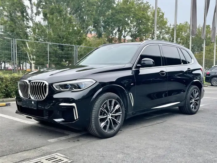 BMW X5 2023 Model xDrive30Li M Sports Set – фото 10