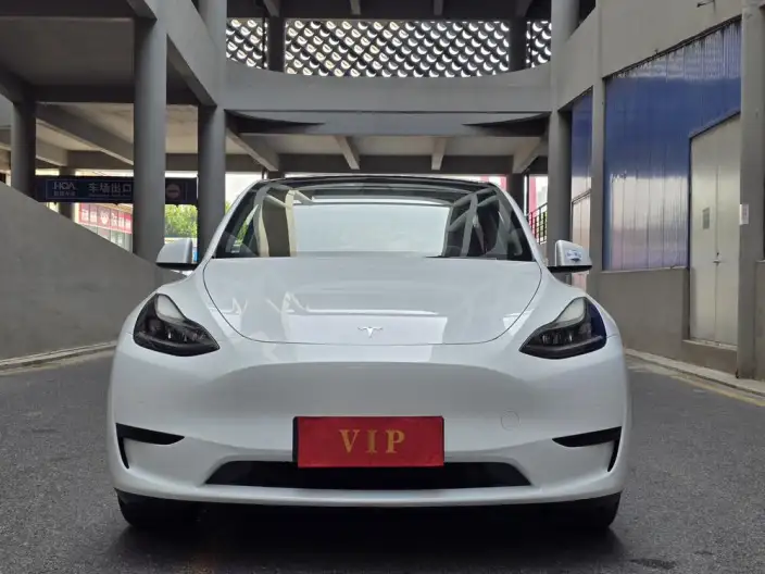 Model Y 2022 Model Facelift Rear-wheel drive version – фото 2