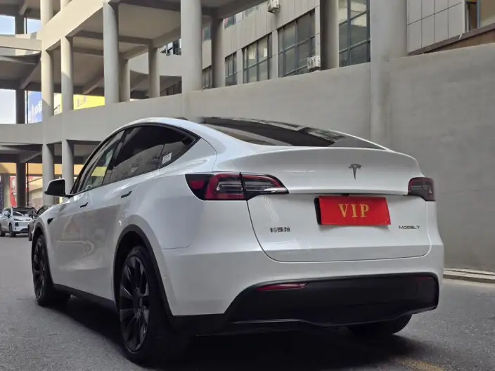 Model Y 2022 Model Facelift Rear-wheel drive version – фото 4