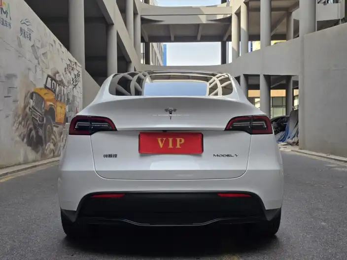 Model Y 2022 Model Facelift Rear-wheel drive version – фото 5