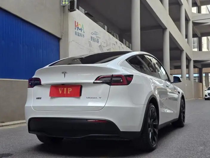 Model Y 2022 Model Facelift Rear-wheel drive version – фото 6
