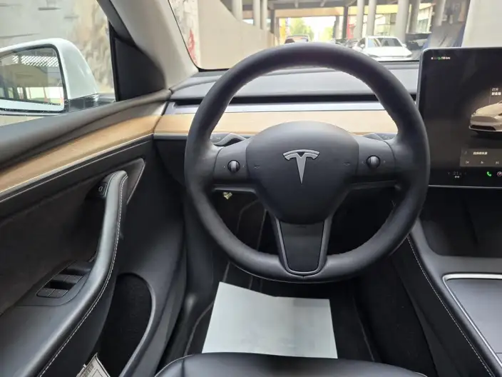Model Y 2022 Model Facelift Rear-wheel drive version – фото 10