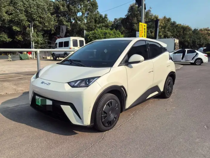 BYD Seagull 2023 Model Vitality Edition – фото 1