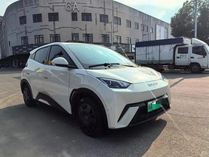 BYD Seagull 2023 Model Vitality Edition – фото 3