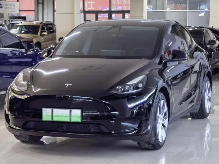 Model Y 2022 Model Facelift Rear-wheel drive version – фото 1