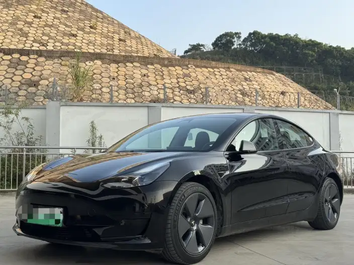 Model 3 2022 Model Rear-wheel drive version – фото 1