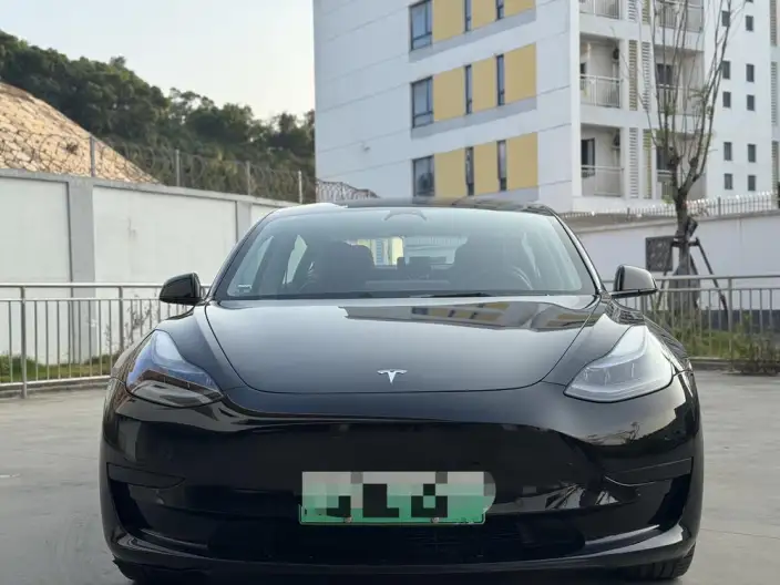 Model 3 2022 Model Rear-wheel drive version – фото 2