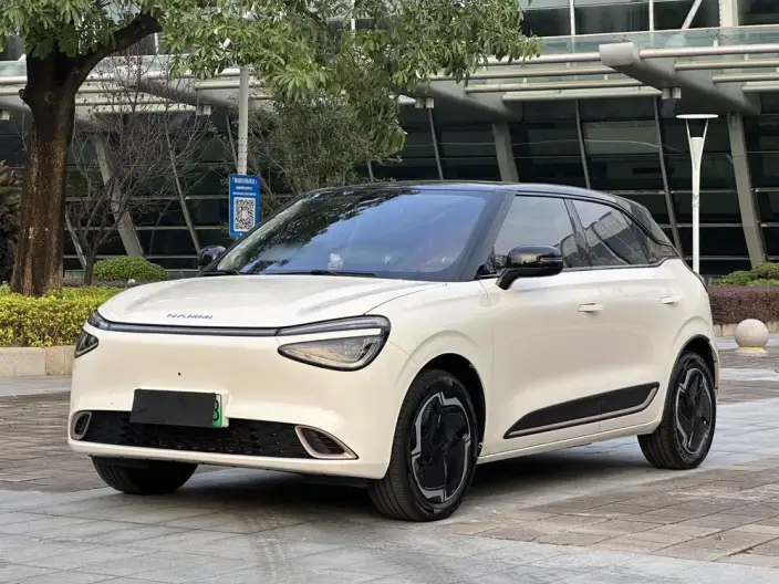 Dongfeng Nano 01 2024 Model 330Lite