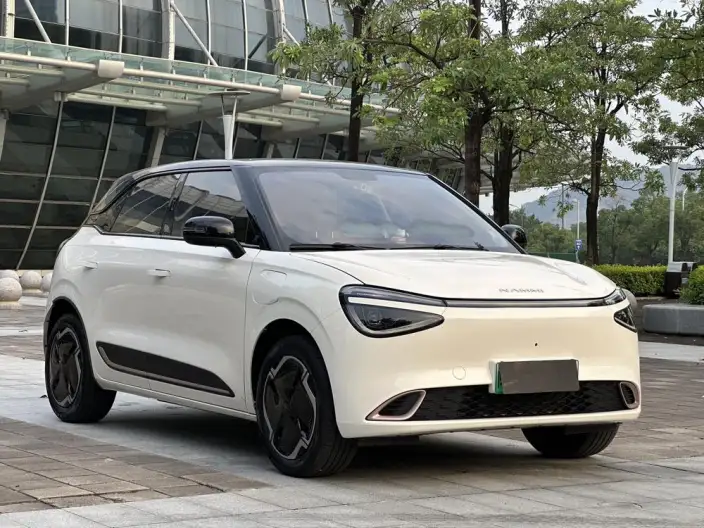 Dongfeng Nano 01 2024 Model 330Lite