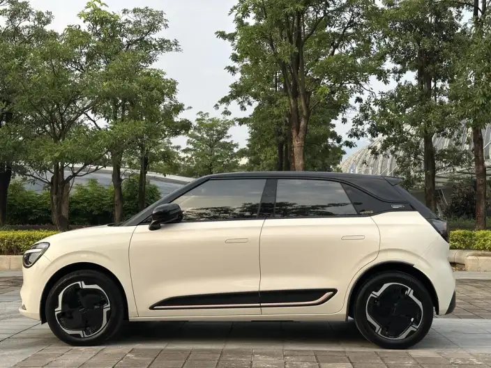 Dongfeng Nano 01 2024 Model 330Lite