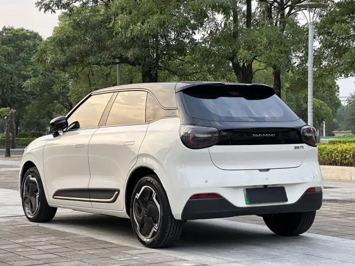 Dongfeng Nano 01 2024 Model 330Lite – фото 5