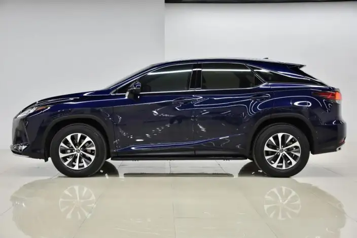 Lexus RX 2021 Model 300 4WD Special Edition – фото 3