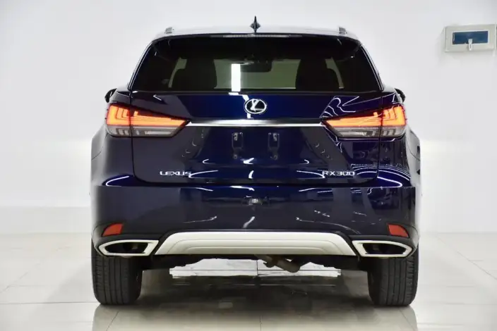 Lexus RX 2021 Model 300 4WD Special Edition – фото 4