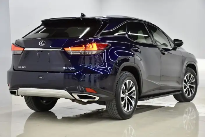 Lexus RX 2021 Model 300 4WD Special Edition – фото 5