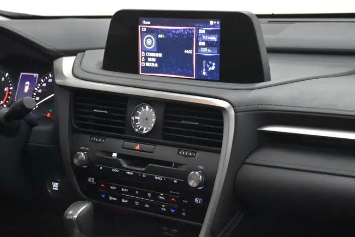Lexus RX 2021 Model 300 4WD Special Edition – фото 7