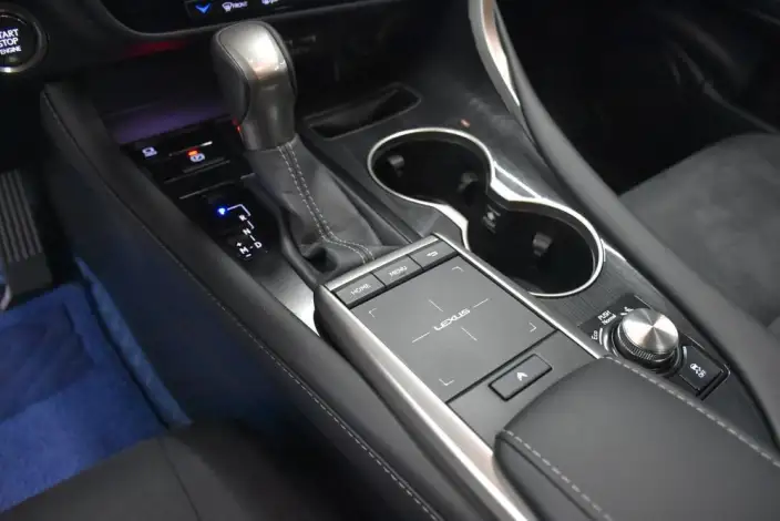 Lexus RX 2021 Model 300 4WD Special Edition – фото 8