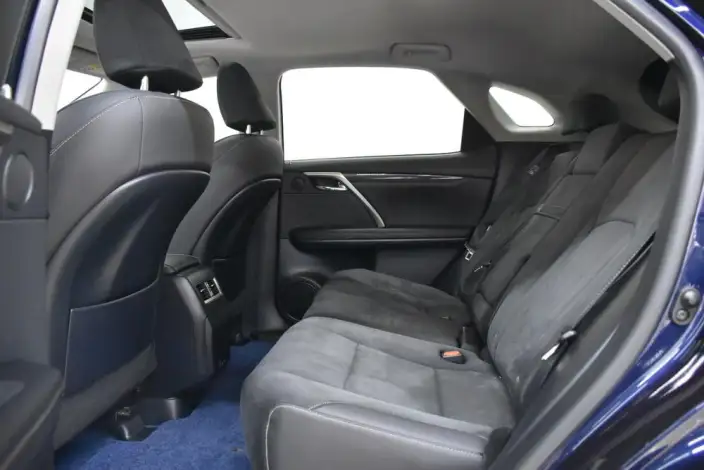 Lexus RX 2021 Model 300 4WD Special Edition – фото 9