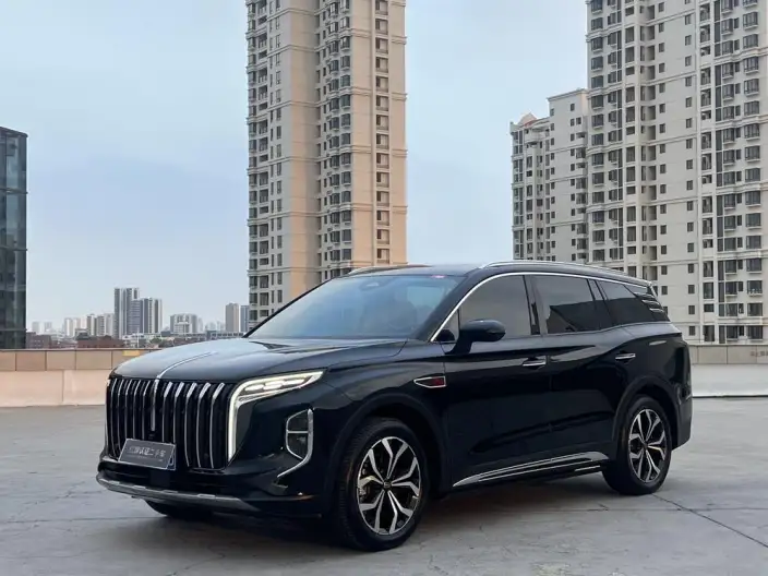 Hongqi HS7 2023 Model 2.0T 4WD Flag Enjoy Edition 7 seat – фото 10
