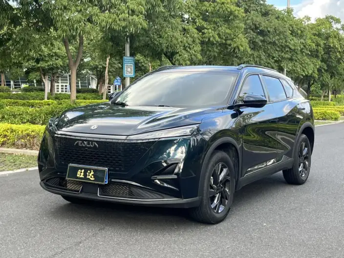 Dongfeng Haohan 2025 Model 1.5T Jinshang Edition