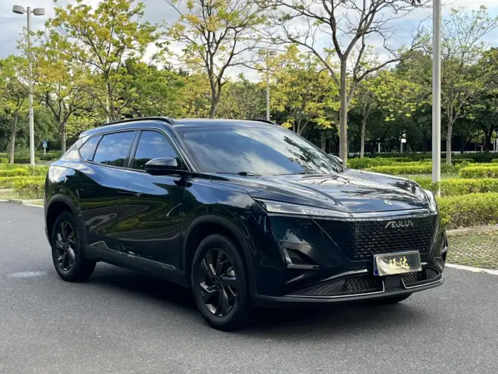 Dongfeng Haohan 2025 Model 1.5T Jinshang Edition