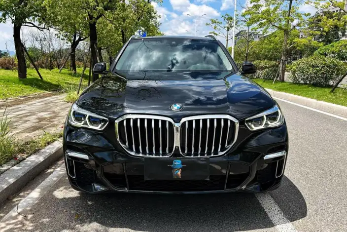 BMW X5 2023 Model xDrive30Li M Sports Set – фото 2