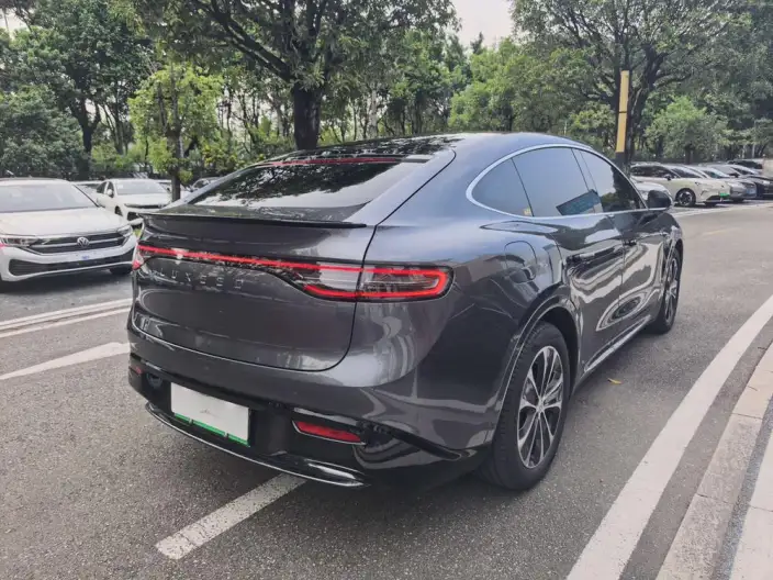 Luxeed R7 2025 Model Extended Range 53.4kWh Max Rear Drive Edition – фото 6