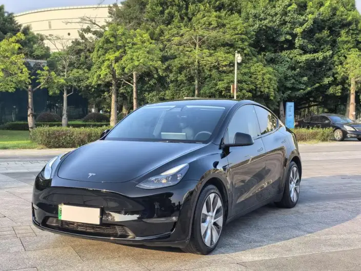 Model Y 2021 Model Standard Battery Life Rear-wheel drive version – фото 1