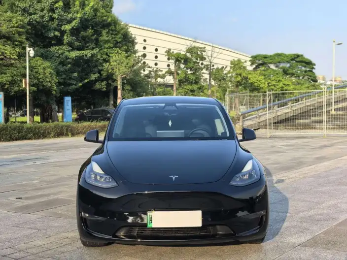 Model Y 2021 Model Standard Battery Life Rear-wheel drive version – фото 2