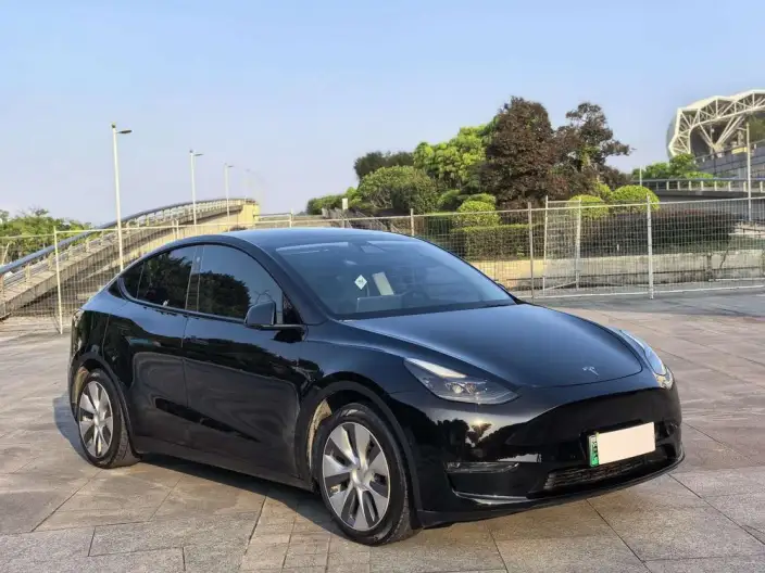 Model Y 2021 Model Standard Battery Life Rear-wheel drive version – фото 3