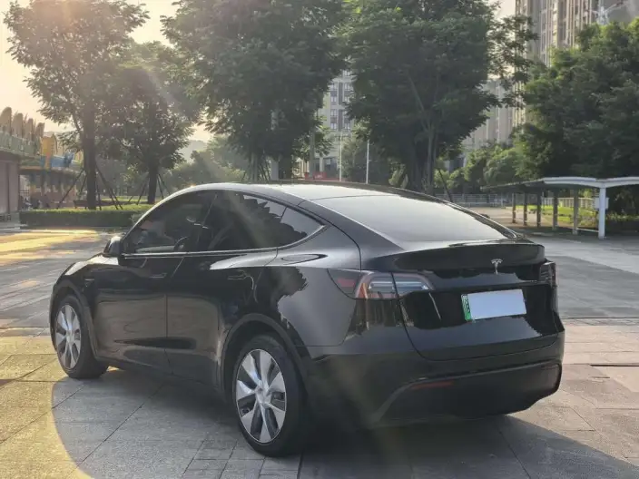 Model Y 2021 Model Standard Battery Life Rear-wheel drive version – фото 4