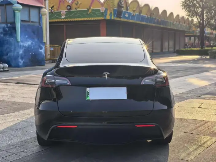 Model Y 2021 Model Standard Battery Life Rear-wheel drive version – фото 5