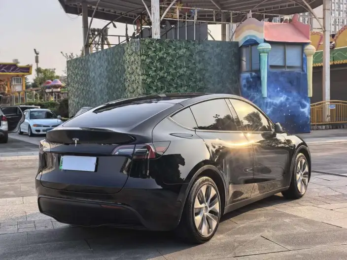 Model Y 2021 Model Standard Battery Life Rear-wheel drive version – фото 6