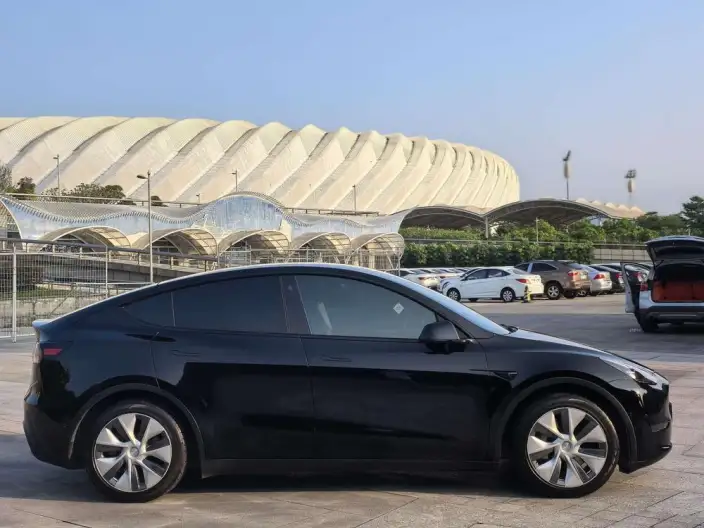 Model Y 2021 Model Standard Battery Life Rear-wheel drive version – фото 7