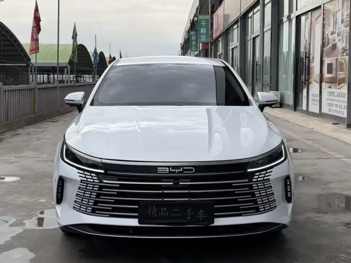 BYD Destroyer 05 2024 Model Honor Edition DM-i 55KM Luxury Model – фото 2