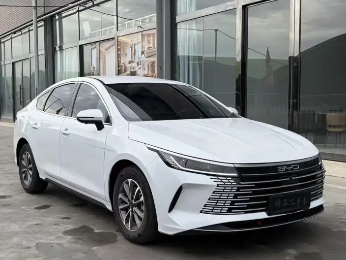 BYD Destroyer 05 2024 Model Honor Edition DM-i 55KM Luxury Model – фото 3