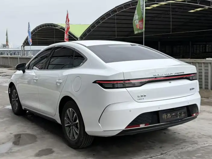 BYD Destroyer 05 2024 Model Honor Edition DM-i 55KM Luxury Model – фото 4