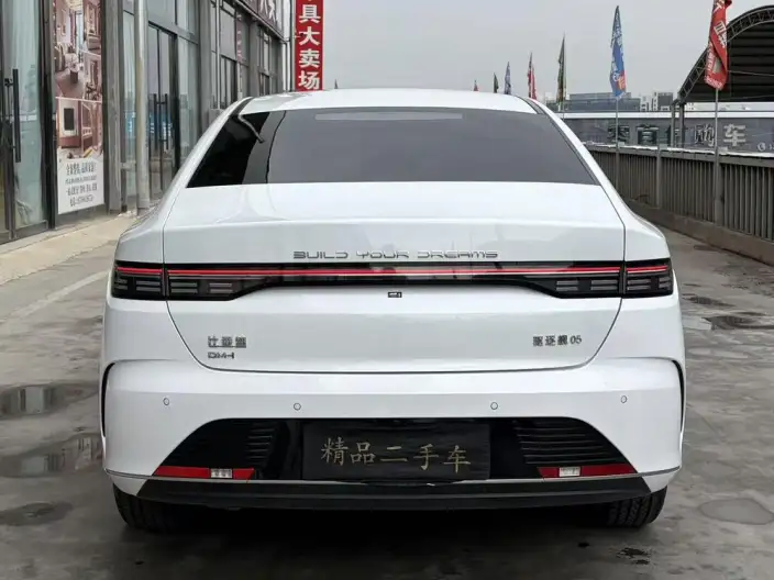 BYD Destroyer 05 2024 Model Honor Edition DM-i 55KM Luxury Model – фото 5