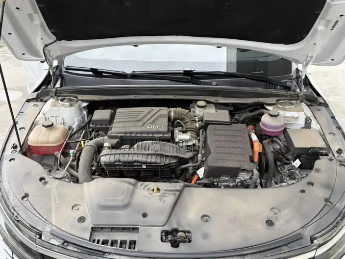 BYD Destroyer 05 2024 Model Honor Edition DM-i 55KM Luxury Model – фото 7