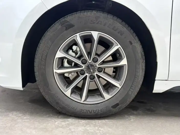 BYD Destroyer 05 2024 Model Honor Edition DM-i 55KM Luxury Model – фото 8