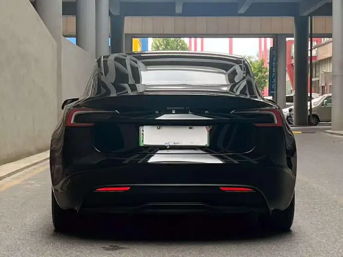 Model 3 2023 Model Long Battery Life Pro All-wheel drive version – фото 4