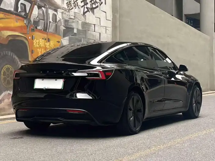 Model 3 2023 Model Long Battery Life Pro All-wheel drive version – фото 5