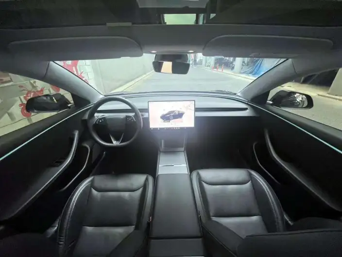 Model 3 2023 Model Long Battery Life Pro All-wheel drive version – фото 10