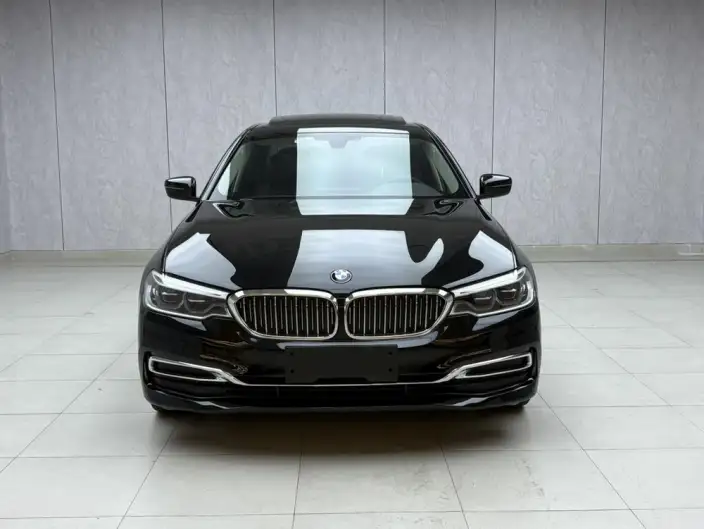 BMW 5 Series 2020 Model 530Li Leading Model Luxury Set – фото 2