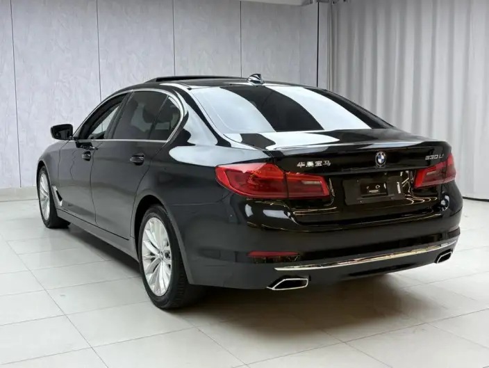 BMW 5 Series 2020 Model 530Li Leading Model Luxury Set – фото 4