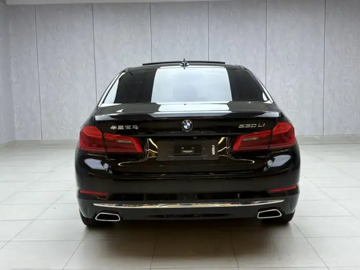 BMW 5 Series 2020 Model 530Li Leading Model Luxury Set – фото 5