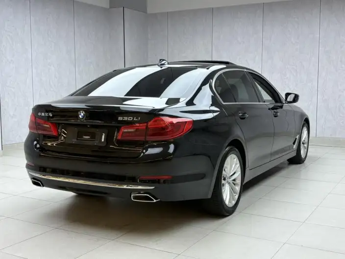 BMW 5 Series 2020 Model 530Li Leading Model Luxury Set – фото 6