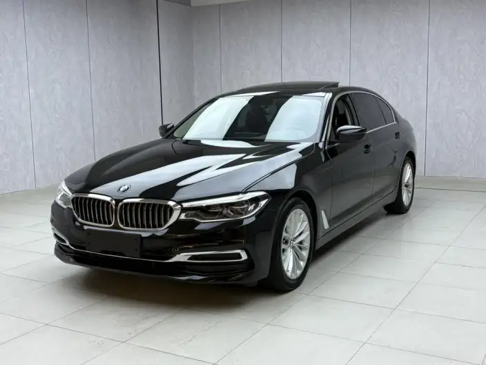 BMW 5 Series 2020 Model 530Li Leading Model Luxury Set – фото 10
