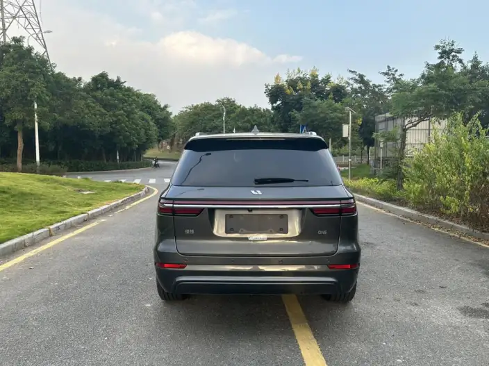 Li Auto ONE 2020 Model Extended Range 6 seat Edition – фото 9