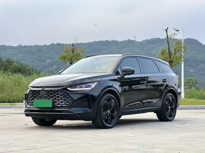 BYD Tang DM 2024 Model Honor Edition DM-i 112KM Zunrong Model – фото 1